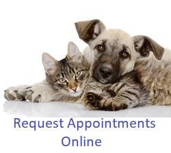 Silvercreek Veterinary Clinic 440 338 5139 Home